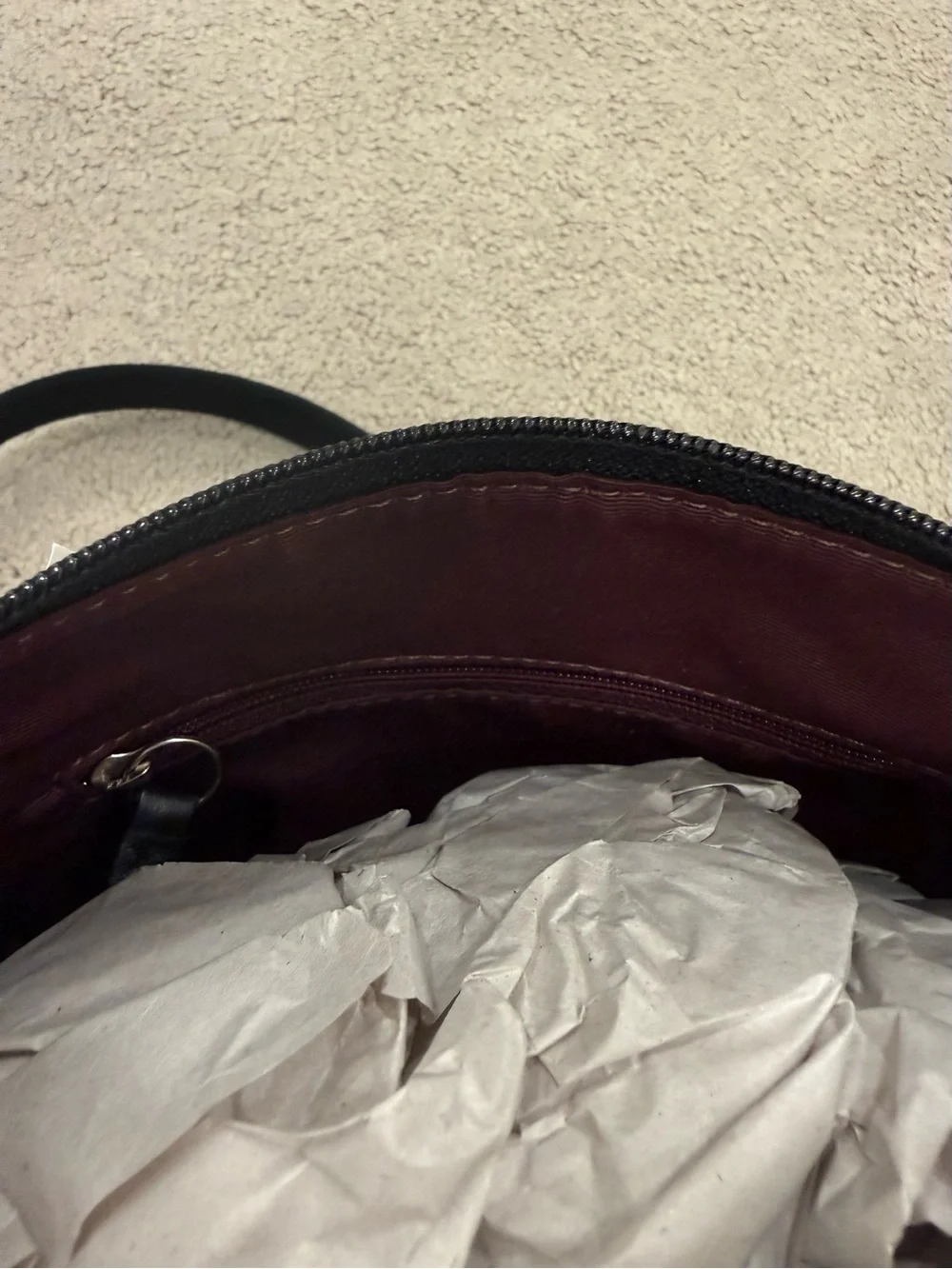 Coach Hamilton Swingpack Crossbody Bag
